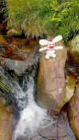 Bunny can never resist a good waterfall.